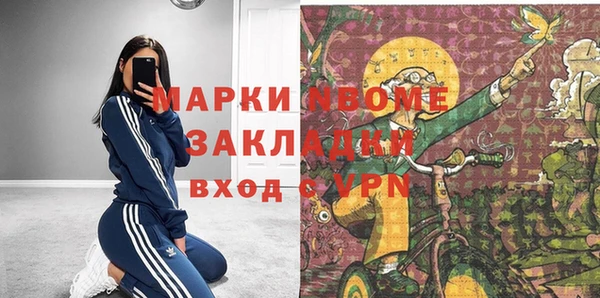 СК Алексин