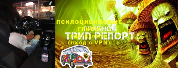СК Алексин